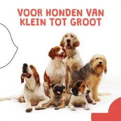 JC Pets Ultrasone Anti Blaf Apparaat Voor Kleine En Grote Honden - Oplaadbaar - Alternatief Anti Blafband Voor Honden - Diervriendelijk & Zonder Schok -Huisdierbenodigdheden 1200x1200 252