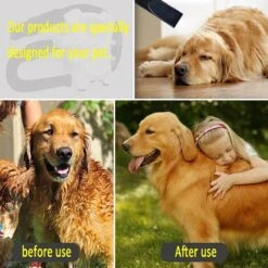 Hondenfohn - Waterblazer Met Draaiknop - 2400W Vermogen Met Warme En Koude Stand - Wit -Huisdierbenodigdheden 1200x1200 258