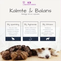 K9 Laboratories Kalmte & Balans - Hond - 60 Stuks - Bij Stress, Angst En Agressie - Ashwagandha - L-tryptofaan - Passiebloem - Valeriaanwortel - Lavendel -Huisdierbenodigdheden 1200x1200 263