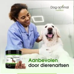 DOG OPTIMAL Gewricht Supplement 120 Stuks - Mobility - Glucosamine Hond - Artrose - Heupdysplasie - Gewrichten - Hondensnacks - Hondenkoekjes - Hondensupplementen - Honden - Puppy - Hondenvoeding -Huisdierbenodigdheden 1200x1200 267