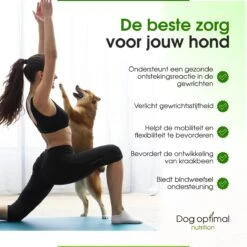 DOG OPTIMAL Gewricht Supplement 120 Stuks - Mobility - Glucosamine Hond - Artrose - Heupdysplasie - Gewrichten - Hondensnacks - Hondenkoekjes - Hondensupplementen - Honden - Puppy - Hondenvoeding -Huisdierbenodigdheden 1200x1200 269