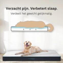 CozySense® - Orthopedisch Hondenkussen - Hondenkussen 60 X 40 Cm - Ook Geschikt Als Benchkussen & Hondenbed - Hondenkussen Bank - Traagschuim - Waterdicht - Wasbare Hoes - Maat S -Huisdierbenodigdheden 1200x1200 27