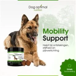 DOG OPTIMAL Gewricht Supplement 120 Stuks - Mobility - Glucosamine Hond - Artrose - Heupdysplasie - Gewrichten - Hondensnacks - Hondenkoekjes - Hondensupplementen - Honden - Puppy - Hondenvoeding -Huisdierbenodigdheden 1200x1200 270