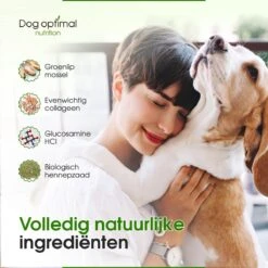 DOG OPTIMAL Gewricht Supplement 120 Stuks - Mobility - Glucosamine Hond - Artrose - Heupdysplasie - Gewrichten - Hondensnacks - Hondenkoekjes - Hondensupplementen - Honden - Puppy - Hondenvoeding -Huisdierbenodigdheden 1200x1200 271