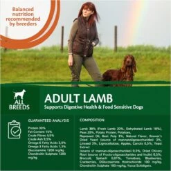 Wellness Core Grain Free Dog Adult Lam - Hondenvoer - 10 Kg -Huisdierbenodigdheden 1200x1200 273