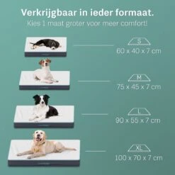 Voorkant -Huisdierbenodigdheden 1200x1200 274