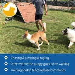 CF Pack - Hond Buitenspeelgoed Actief Behendigheid Touw Dog Flirt Pole Flirtpole Toy Tug Tease Wand Non-Bungee Cord Dog Toy For Fun Obedience Training Extandable Toy Honden Speelgoed Hondenspeelgoed Behendigheidspeelgoed -Huisdierbenodigdheden 1200x1200 285