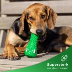Tandenborstel Hond Melk Geur Smaak En Piep Honden Speelgoed Dog Toy - Krokodil Groen - Dutchwide -Huisdierbenodigdheden 1200x1200 296