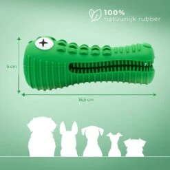 Tandenborstel Hond Melk Geur Smaak En Piep Honden Speelgoed Dog Toy - Krokodil Groen - Dutchwide -Huisdierbenodigdheden 1200x1200 299