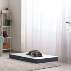 CozySense® - Orthopedisch Hondenkussen - Hondenkussen 60 X 40 Cm - Ook Geschikt Als Benchkussen & Hondenbed - Hondenkussen Bank - Traagschuim - Waterdicht - Wasbare Hoes - Maat S -Huisdierbenodigdheden 1200x1200 30