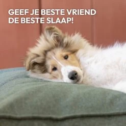 Snoozle Orthopedische Hondenmand - Zacht En Luxe Hondenkussen - Hondenbed - Wasbaar - Hondenmanden - 100 X 70 Cm - Groen -Huisdierbenodigdheden 1200x1200 312
