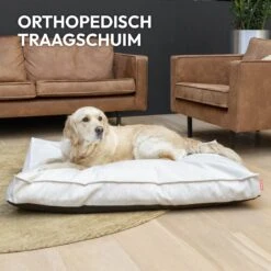 Snoozle Orthopedische Hondenmand - Zacht En Luxe Hondenkussen - Hondenbed - Wasbaar - Hondenmanden - 100 X 70 Cm - Groen -Huisdierbenodigdheden 1200x1200 313