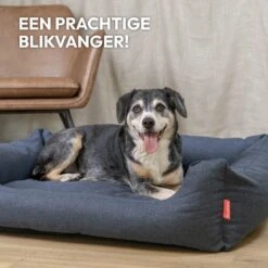 Snoozle Hondenmand - Zacht En Luxe Hondenkussen - Hondenbed - Wasbaar - Hondenmanden - 100 X 70cm 17 Snoozle Hondenmand - Zacht En Luxe Hondenkussen - Hondenbed - Wasbaar - Hondenmanden - 100 X 70cm -Huisdierbenodigdheden 1200x1200 330