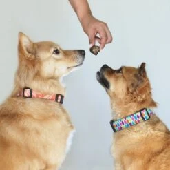 Topdiervoeding Runderlong Hondensnacks - Vers Gedroogd - Knapperig - 1 KG 9 Topdiervoeding Runderlong Hondensnacks - Vers Gedroogd - Knapperig - 1 KG -Huisdierbenodigdheden 1200x1200 351