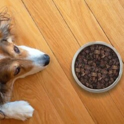 Topdiervoeding Runderlong Hondensnacks - Vers Gedroogd - Knapperig - 1 KG 10 Topdiervoeding Runderlong Hondensnacks - Vers Gedroogd - Knapperig - 1 KG -Huisdierbenodigdheden 1200x1200 352