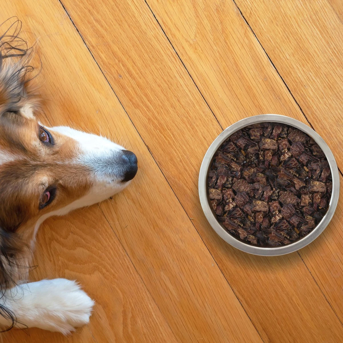 Topdiervoeding Runderlong Hondensnacks - Vers Gedroogd - Knapperig - 1 KG 6 Topdiervoeding Runderlong Hondensnacks - Vers Gedroogd - Knapperig - 1 KG - Afbeelding 4