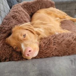 Origineel Hondendeken Voor Bank– Hondenkleed Fluffy – Pluche Hondenbed - Hondenmand Premium - Volledig Afritsbaar -Huisdierbenodigdheden 1200x1200 357