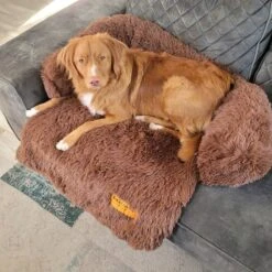 Origineel Hondendeken Voor Bank– Hondenkleed Fluffy – Pluche Hondenbed - Hondenmand Premium - Volledig Afritsbaar -Huisdierbenodigdheden 1200x1200 358