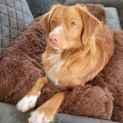 Origineel Hondendeken Voor Bank– Hondenkleed Fluffy – Pluche Hondenbed - Hondenmand Premium - Volledig Afritsbaar -Huisdierbenodigdheden 1200x1200 359