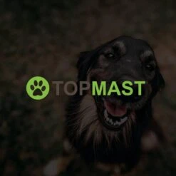 Merkloos Topmast Premium Puppyren - 120 Cm Hoog - 640 Cm Omtrek - Hondenren - Hondenhok - Zwart -Huisdierbenodigdheden 1200x1200 368