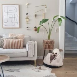 District 70 TUCK - Luxe & Comfortabele Mand Kleine Honden - Terra, Donkergrijs & Zand - 50x50x30 Cm - Zand -Huisdierbenodigdheden 1200x1200 374