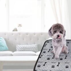 Jooba Puppy Training Pads - Wasbare Puppy Pads 2 Stuks - Hondentoilet - 70x50cm - Puppy -Huisdierbenodigdheden 1200x1200 380