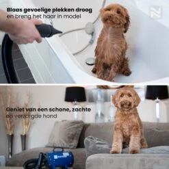 Nuvoo Professionele Hondenföhn / Waterblazer / Hondenborstel Met 3 Opzetstukken - Verstelbare Vermogen Tot 2200W - Warme / Koude Stand - Rood -Huisdierbenodigdheden 1200x1200 387
