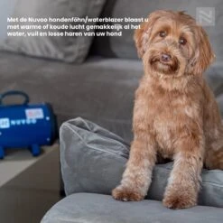 Nuvoo Professionele Hondenföhn / Waterblazer / Hondenborstel Met 3 Opzetstukken - Verstelbare Vermogen Tot 2200W - Warme / Koude Stand - Rood -Huisdierbenodigdheden 1200x1200 389