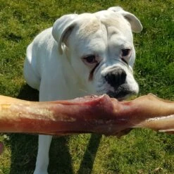 Topdiervoeding Runderkophuid Hondensnacks - Vers Gedroogd - 30cm - 1000 Gram -Huisdierbenodigdheden 1200x1200 412