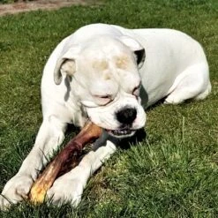 Topdiervoeding Runderkophuid Hondensnacks - Vers Gedroogd - 30cm - 1000 Gram -Huisdierbenodigdheden 1200x1200 414