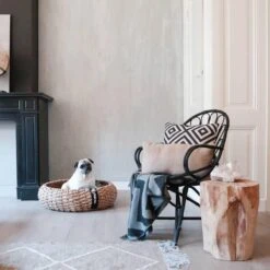 District 70 COCOON - Luxe Hondenmand Van Duurzaam Hoogwaardig Riet Met Zacht Kussen - Maten S/M/L - Large -Huisdierbenodigdheden 1200x1200 423