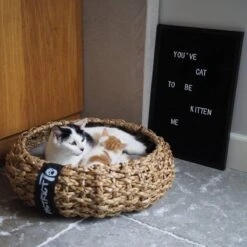 District 70 COCOON - Luxe Hondenmand Van Duurzaam Hoogwaardig Riet Met Zacht Kussen - Maten S/M/L - Large -Huisdierbenodigdheden 1200x1200 427