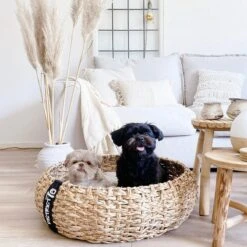 District 70 COCOON - Luxe Hondenmand Van Duurzaam Hoogwaardig Riet Met Zacht Kussen - Maten S/M/L - Large -Huisdierbenodigdheden 1200x1200 430