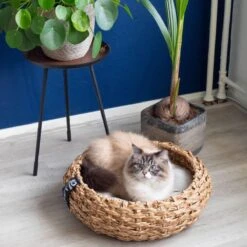 District 70 COCOON - Luxe Hondenmand Van Duurzaam Hoogwaardig Riet Met Zacht Kussen - Maten S/M/L - Large -Huisdierbenodigdheden 1200x1200 434