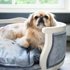 Lord Lou - George Roze Velvet S - Luxe Hondenmand - Luxe Kattenmand - 49x40x31 -Huisdierbenodigdheden 1200x1200 436