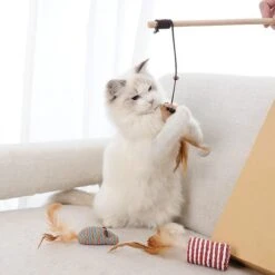 GIZMO Luxe Kattenspeeltjes Set - 7 Speeltjes - Interactieve Kattenhengel, Kattenspeelgoed & Speelmuisjes - Kitten Speeltjes -Huisdierbenodigdheden 1200x1200 450