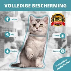 Biologische Vlooien- En Tekenband Voor Katten - BLAUW - Zonder Giftige Pesticiden - Veilig En Verantwoord 14 Biologische Vlooien- En Tekenband Voor Katten - BLAUW - Zonder Giftige Pesticiden - Veilig En Verantwoord -Huisdierbenodigdheden 1200x1200 476