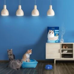 Nobleza 48REM - Tofu Kattenbakvulling - Snel Absorberend - 3.8 L - Klontvormend - 2 Kg -Huisdierbenodigdheden 1200x1200 499