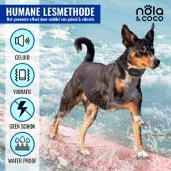 Nola & Coco® Oplaadbare Anti Blafband - 4 Kleuren - Zonder Schok - Waterdichte Diervriendelijke Blaf Halsband - Opvoedingshalsband - Voor Grote En Kleine Honden - Lichte Vibratie En Geluid - 3 Tot 60kg -Huisdierbenodigdheden 1200x1200 50