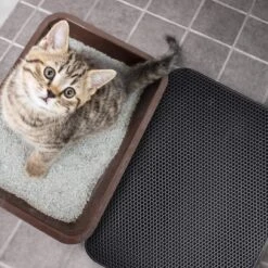 Merkloos Tastelio XXL Kattenbakmat 75x55cm - Groot Kattenbak Mat Met Innovatieve Honingraatstructuur - Dubbele Waterdichte Laag - Katten Bak Mat Met Eenvoudige Reiniging Grit Opvanger -Huisdierbenodigdheden 1200x1200 516