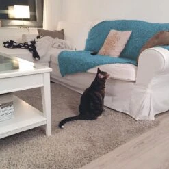 HG Tegen Urine Geur - 500 Ml - Effectief En Snel Resultaat - Neemt De Geur Definitief Weg 8 HG Tegen Urine Geur - 500 Ml - Effectief En Snel Resultaat - Neemt De Geur Definitief Weg -Huisdierbenodigdheden 1200x1200 517