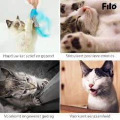 Filo Kattenhengel Set + 12 Kattenspeeltjes – Speelhengels Interactief Kattenspeelgoed – Hengel Kattenspeeltje Kittens - Speelgoed Speelhengel Vis Kat En Kitten -Huisdierbenodigdheden 1200x1200 530