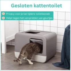 Kattenbak - 2 Uitgangen - Kattentoilet - Uitschuifbare Bodem - Met Schepje - Grijs 53 X 40 X 40 Cm -Huisdierbenodigdheden 1200x1200 535