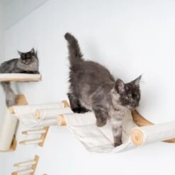 RHRQuality Wandmeubel Wandmontage Klimmuur Kat 53 X 43cm Luxe Hangmat XXL Creme Klim Wand Muur Krabpaal Katten Muurbevestiging -Huisdierbenodigdheden 1200x1200 545