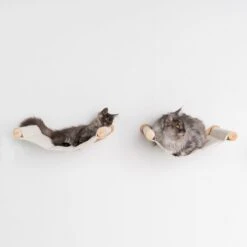 RHRQuality Wandmeubel Wandmontage Klimmuur Kat 53 X 43cm Luxe Hangmat XXL Creme Klim Wand Muur Krabpaal Katten Muurbevestiging -Huisdierbenodigdheden 1200x1200 547