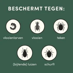 3 Stuks Vlooienband Kat Tekenband - 100% Natuurlijk Veilig En Waterbestendig -Huisdierbenodigdheden 1200x1200 562