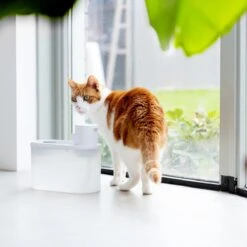 Hoopo® Agua - DRAADLOZE Waterfontein Katten - SMART Waterfontein Katten - UVC Disinfectie - 2 Liter - Automatische Katten Fontein -Huisdierbenodigdheden 1200x1200 594
