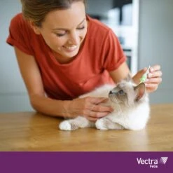 VECTRA Felis - Vlooiendruppels - Voor Katten 0.6 T/m 10 Kg - 3 Pipetten 9 VECTRA Felis - Vlooiendruppels - Voor Katten 0.6 T/m 10 Kg - 3 Pipetten -Huisdierbenodigdheden 1200x1200 612