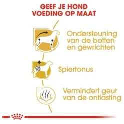 Royal Canin Dachshund/Teckel Adult 7.5 KG -Huisdierbenodigdheden 1200x1200 73