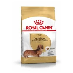 Royal Canin Dachshund/Teckel Adult 7.5 KG -Huisdierbenodigdheden 1200x1200 76